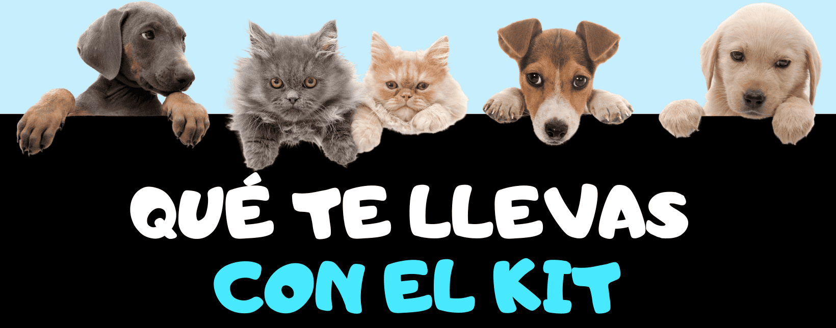 Titulo Logo (11) (1)
